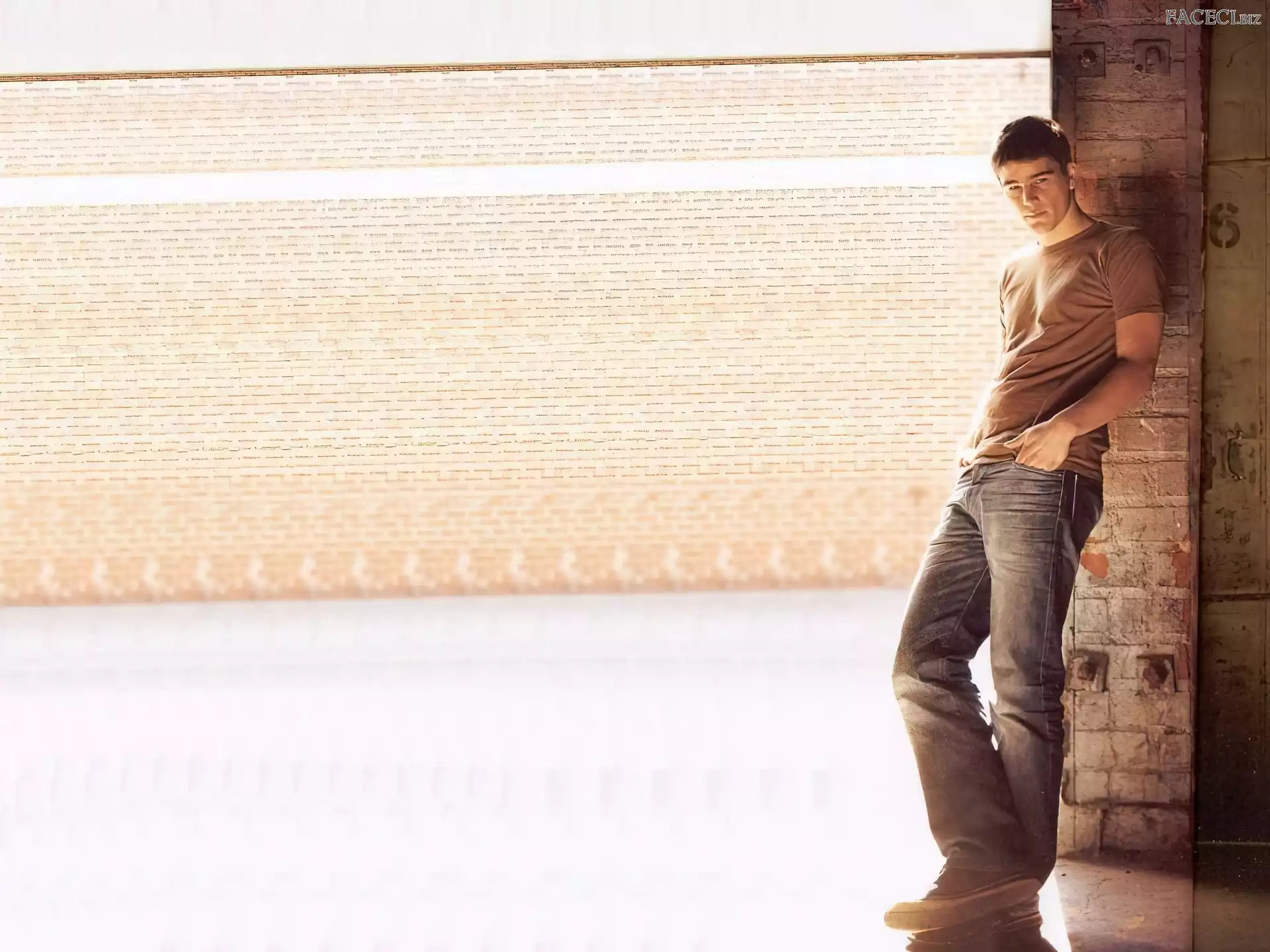 jeansy, Josh Hartnett, brązowa koszulka